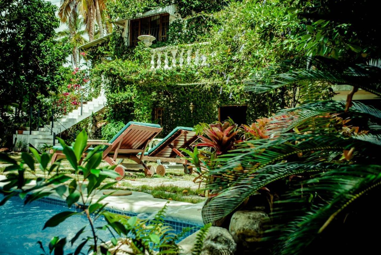 Villa Carolina Bed And Breakfast Puerto Plata Bagian luar foto