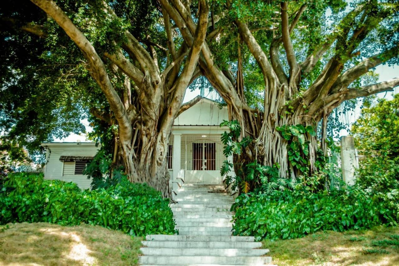 Villa Carolina Bed And Breakfast Puerto Plata Bagian luar foto