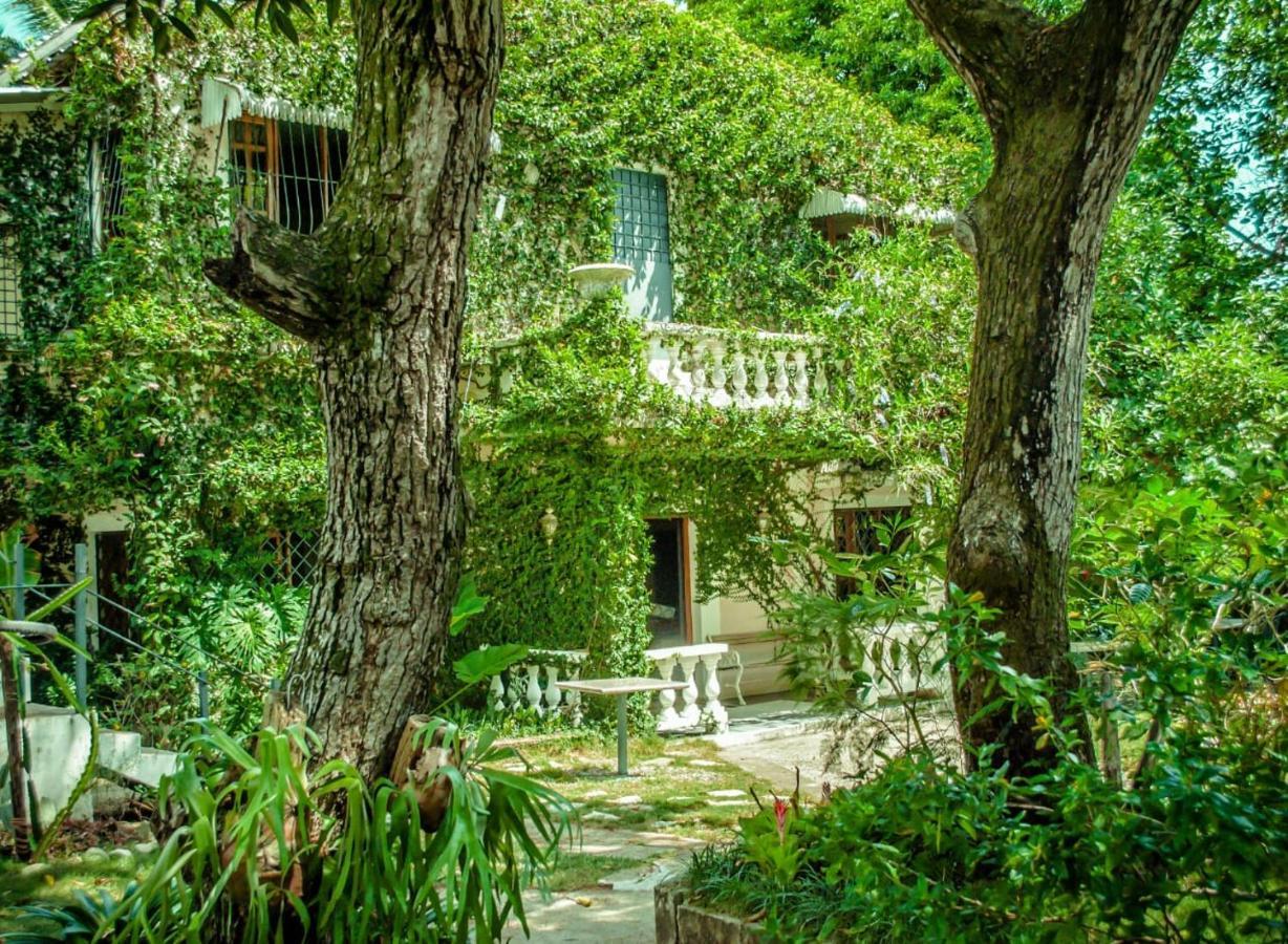 Villa Carolina Bed And Breakfast Puerto Plata Bagian luar foto