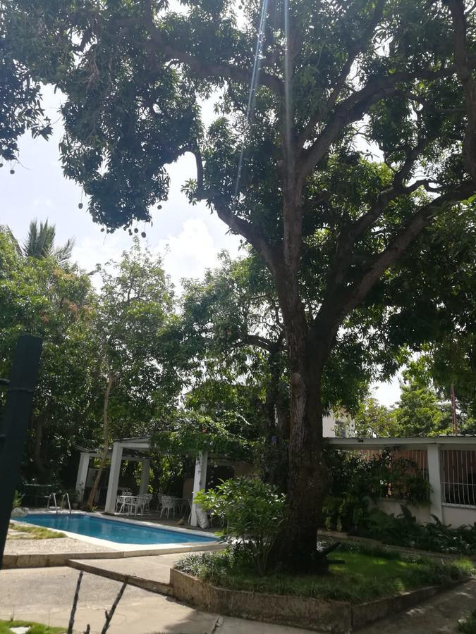 Villa Carolina Bed And Breakfast Puerto Plata Bagian luar foto