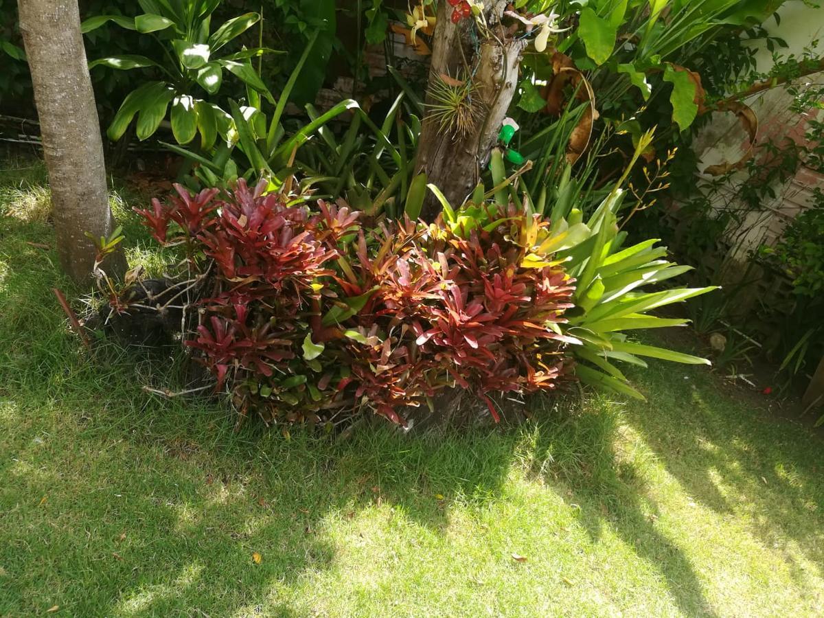 Villa Carolina Bed And Breakfast Puerto Plata Bagian luar foto