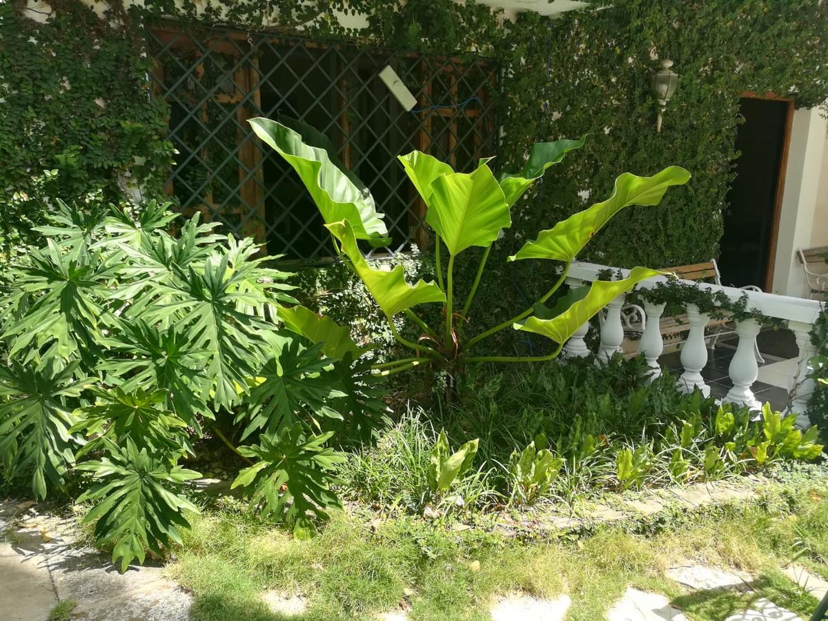 Villa Carolina Bed And Breakfast Puerto Plata Bagian luar foto
