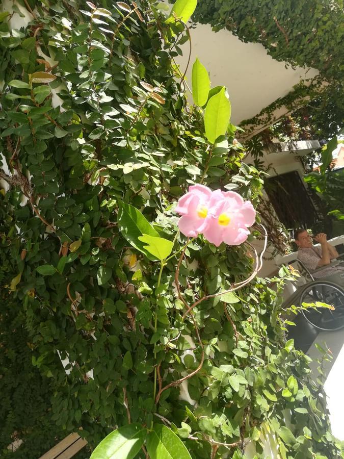 Villa Carolina Bed And Breakfast Puerto Plata Bagian luar foto